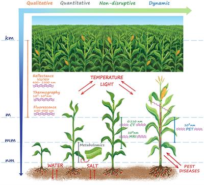 Past and Future of Plant Stress Detection: An Overview From Remote Sensing to Positron Emission Tomography
